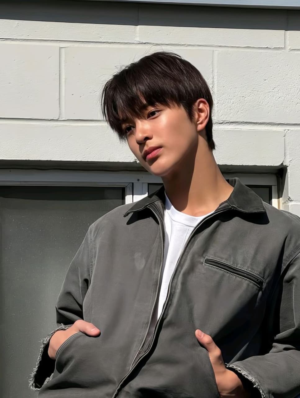 WhatsApp Image 2026-01-15 at 14.50.00